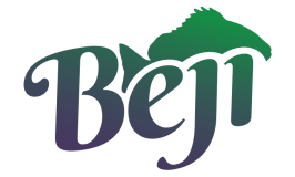 Desa Beji, Banyumas